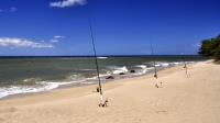 Relaxed Fishing�